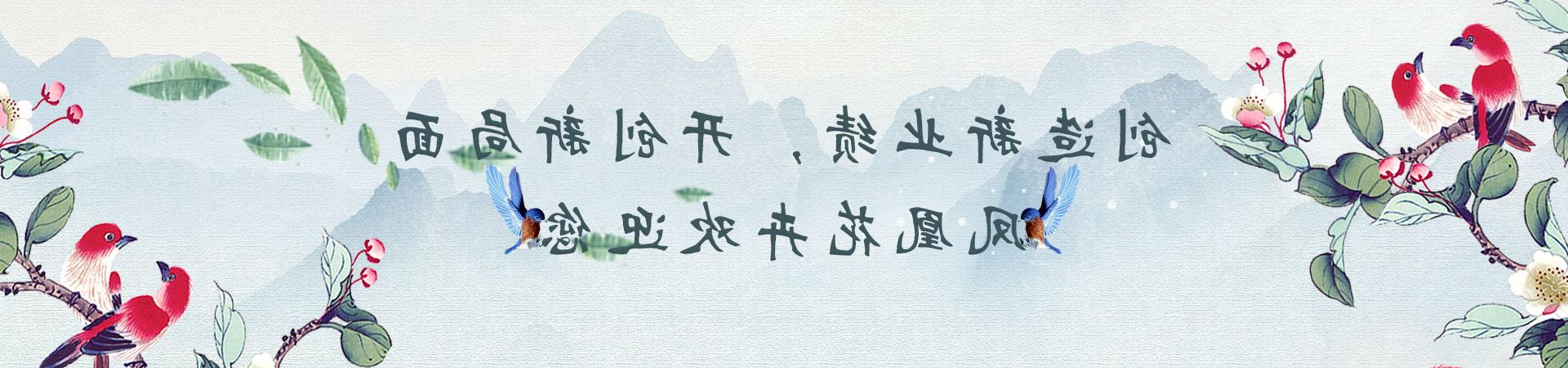 公司介绍，资质荣誉，新闻资讯